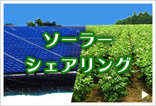 営農型太陽光発電