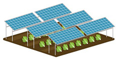 営農型太陽光発電